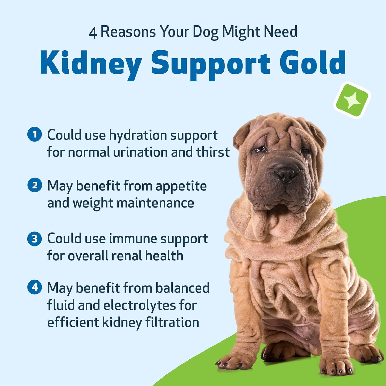 Sunse Kidney Support Gold - for Healthy Kidney Function in Dogs