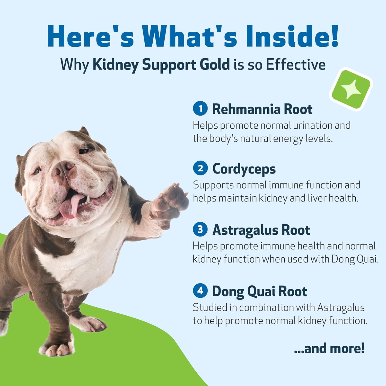 Sunse Kidney Support Gold - for Healthy Kidney Function in Dogs
